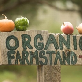 organic farmstand sign