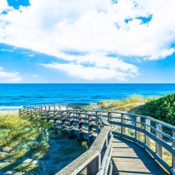 South Florida beach (Image: Shutterstock)