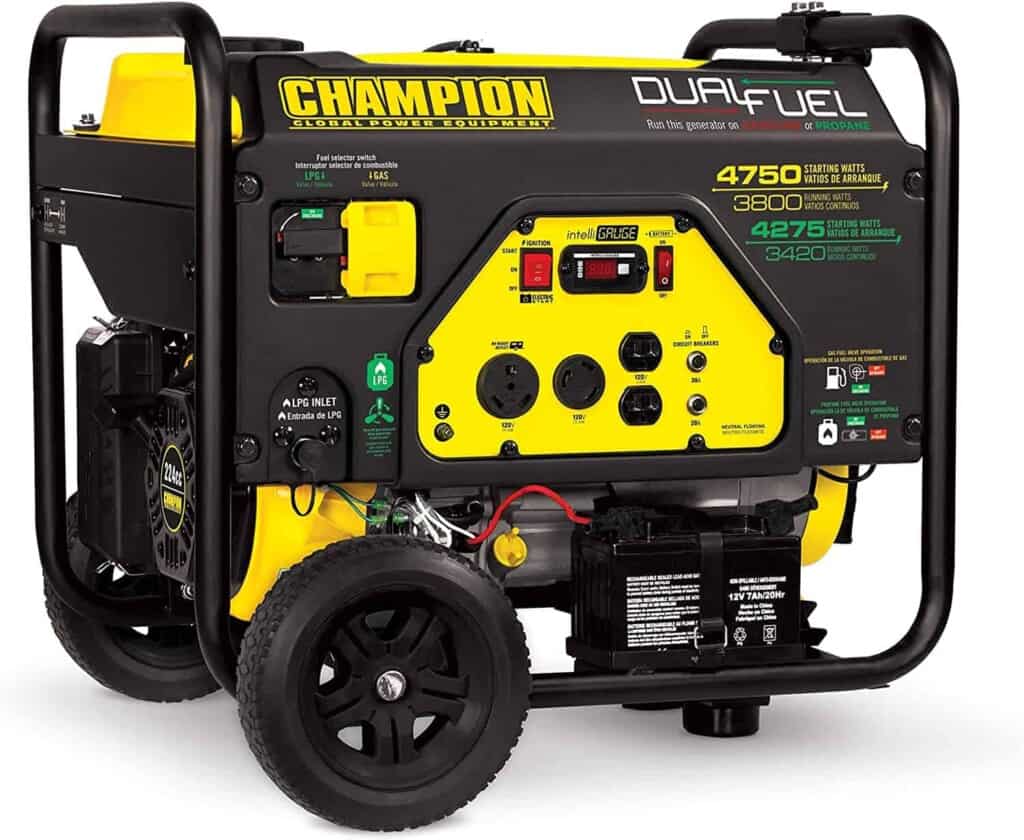 Champion 76533 Dual Fuel RV Ready Generator 