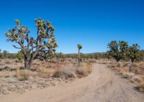 Discover Avi Kwa Ame National Monument: A New Boondocking Spot Near Las Vegas