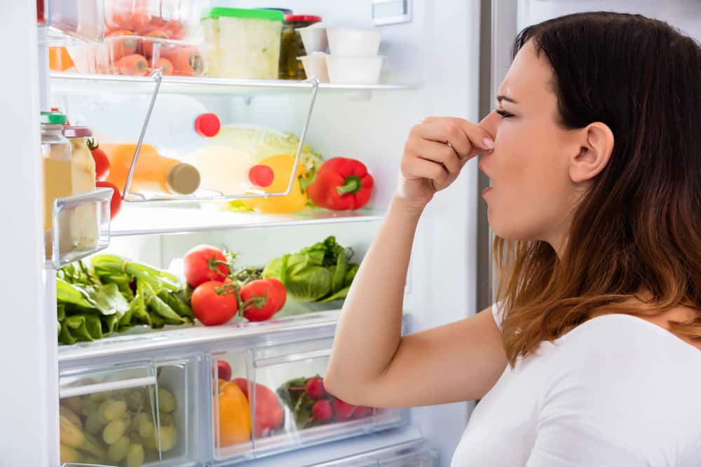 spoiled food in RV refrigerator