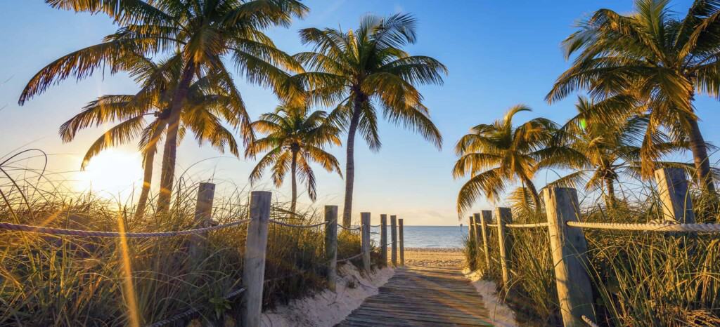 Florida Keys palm trees beach scene walkway