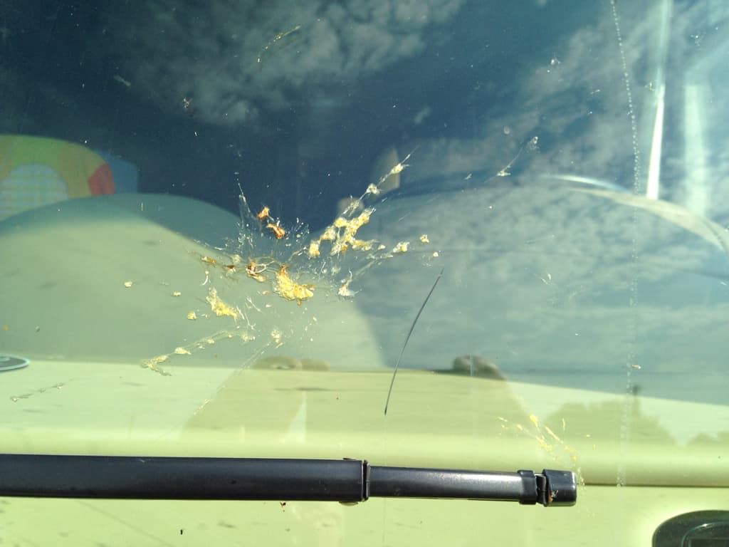 bug guts on windshield (Image: @Berlin Kid, iRV2 Forums Member)